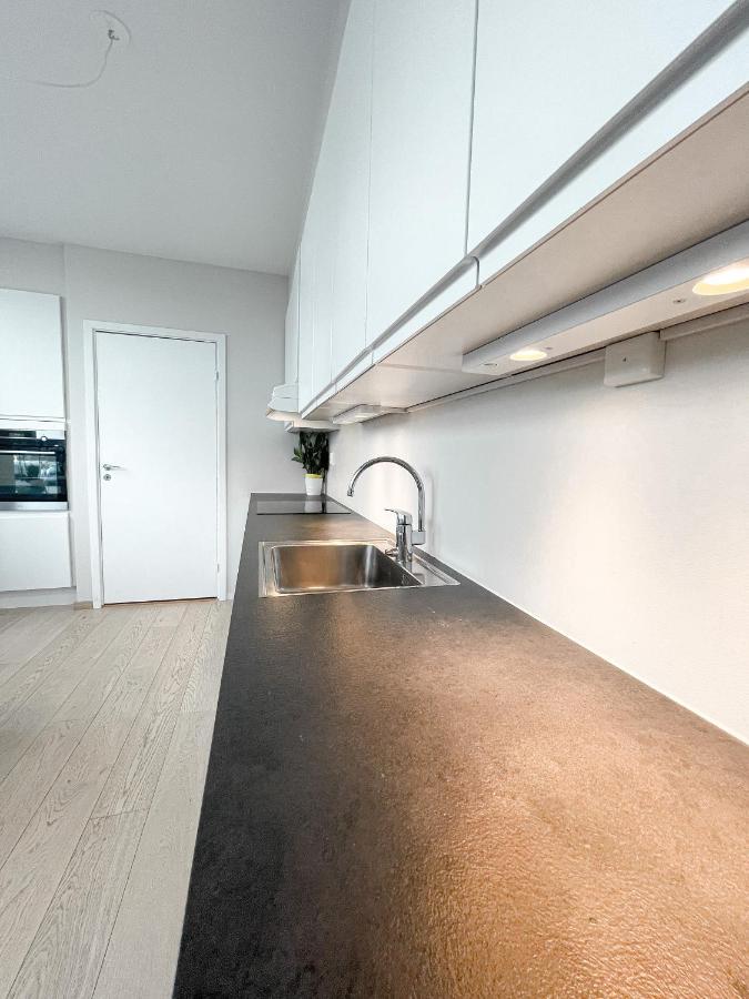 City Center Penthouse Apartment Oslo Exterior photo